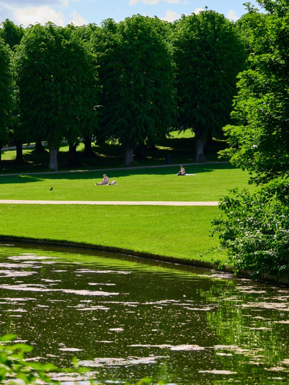 Park